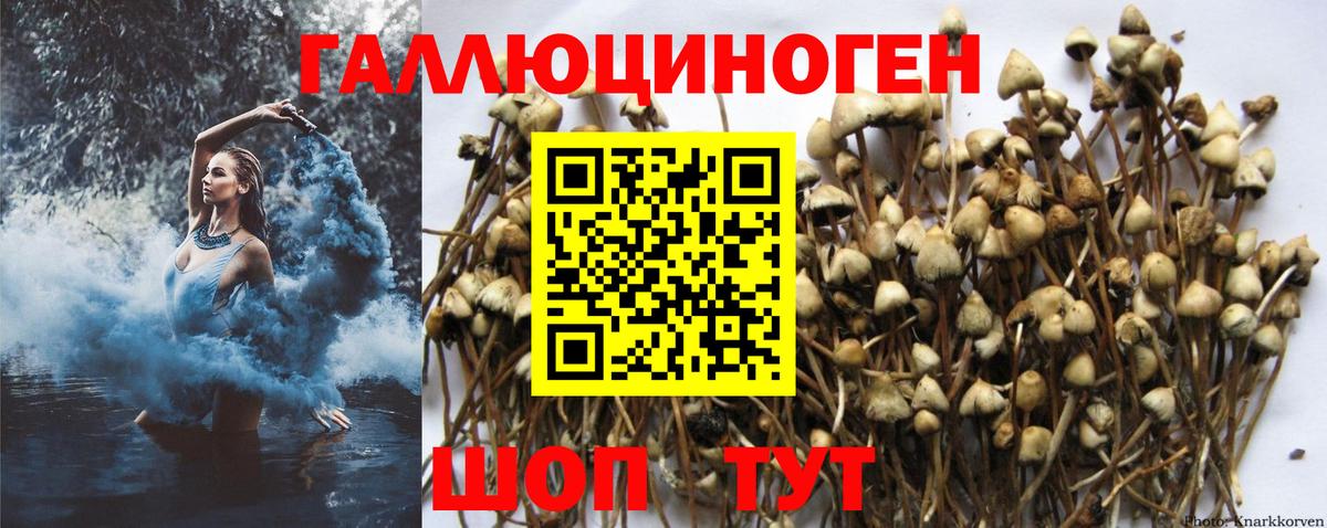 Галлюциногенные грибы мухоморы Саранск
